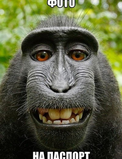 Дима Шаршаков