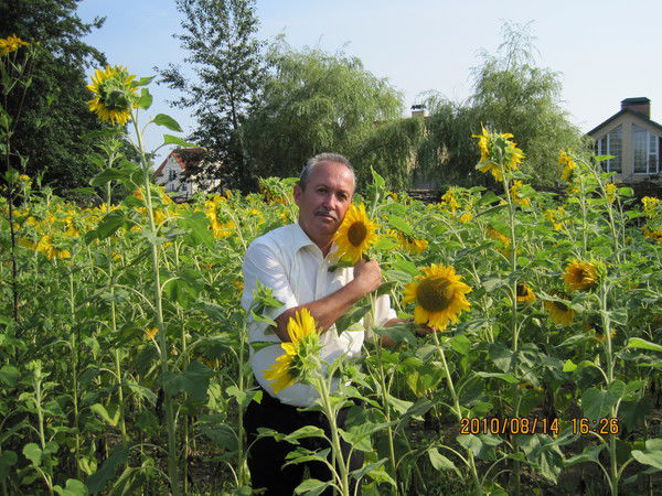 Александр Малашевич