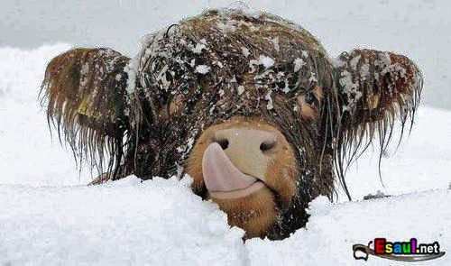 Сергей Фадеев