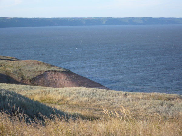 Юрий Никитаев