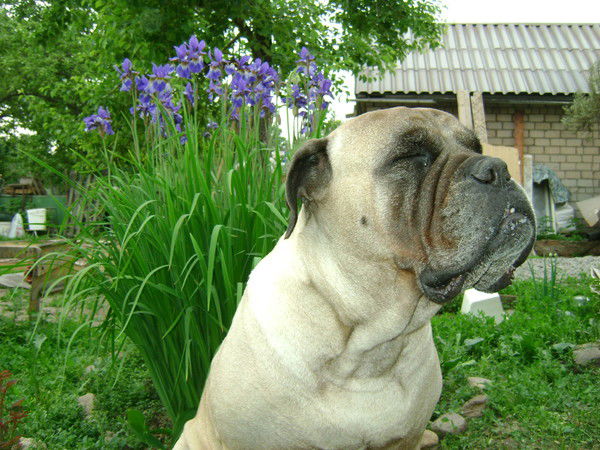 Светлана Менщикова