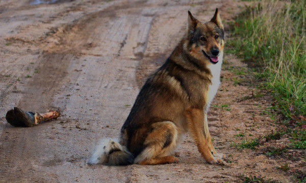 Андрей Полудницын