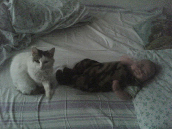 Алексей Шендрик