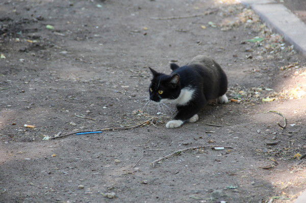 Ооо Меридиан Ооо Меридиан