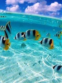 ????????????? ????????????