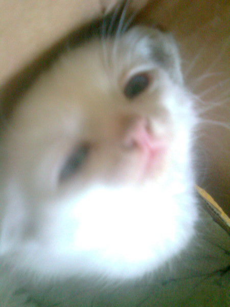 *_*kristina Merzlyakova*_*