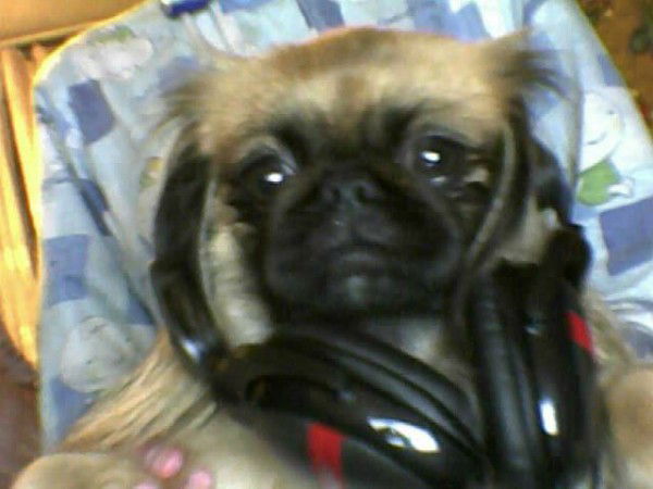 Оксана Войтенко