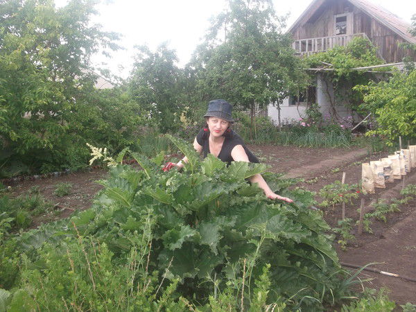 Лариса Муринец