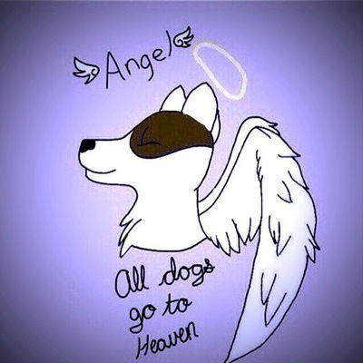 Даша Анохина