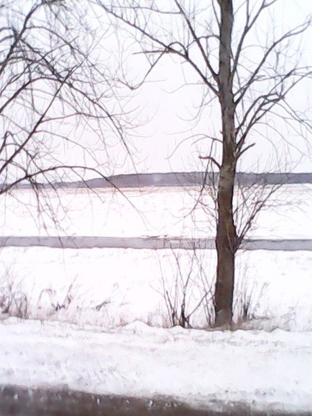 Наталья Барковская