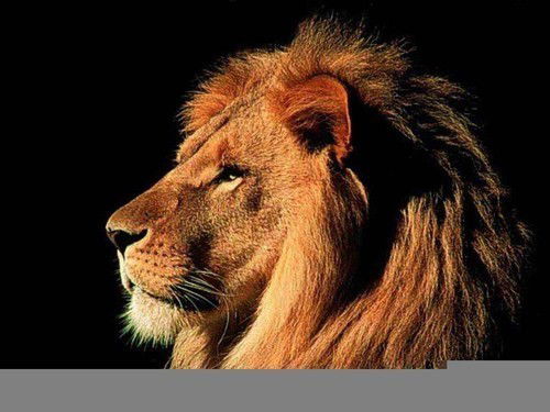 Ырысбек Каипов