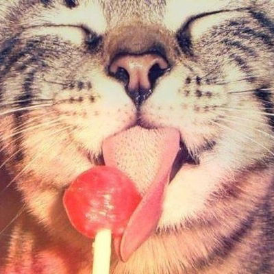 Александр Пожидаев