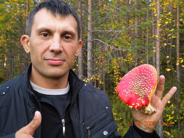 Владимир Волк