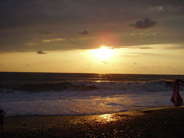 Елена Толстогузова