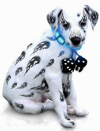 Станислав Диденко