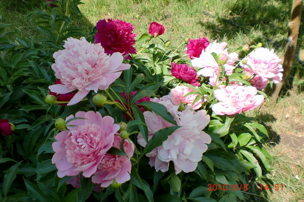 Марина Данилова