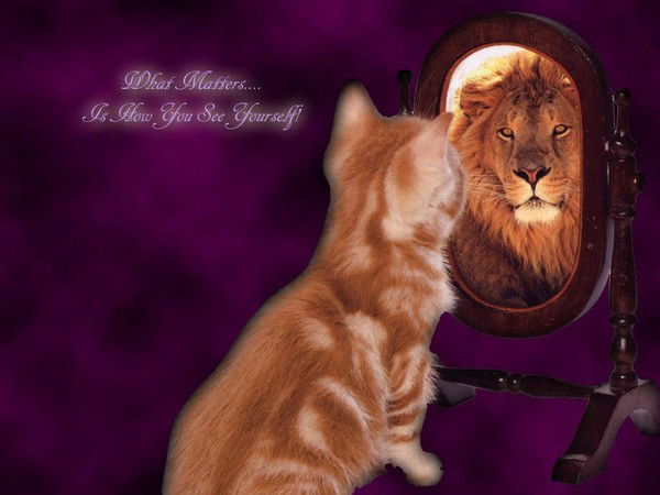 Вероника Минвалеева