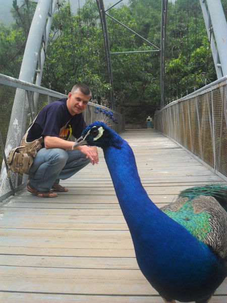 Евгений Бложко