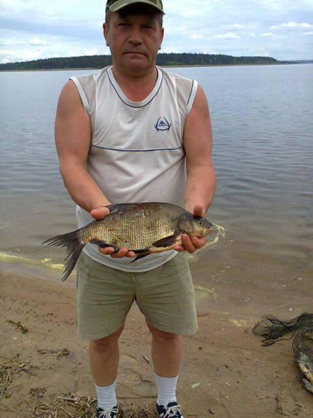 Константин Викулов