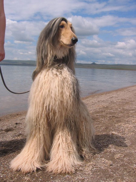 Мария Коростелева