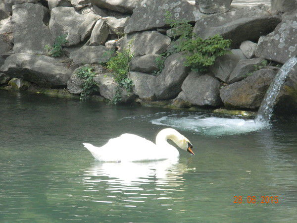 Александр Кузьмин