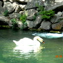 Александр Кузьмин