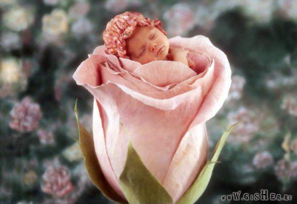 Эля Садыкова