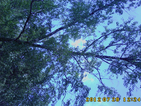 Наталья Гусельникова