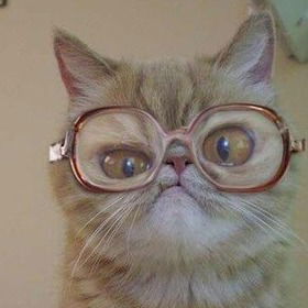 Кирюха Пальмов