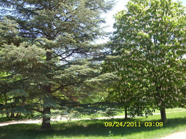 Татьяна Никулина