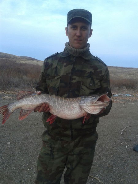 Максим Ткалич