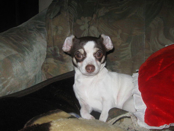 Настя Незамаева