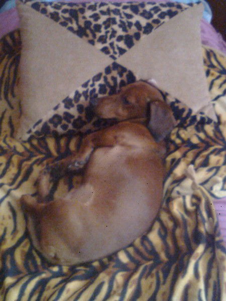 Никита™ Кравченко