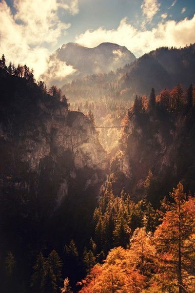 Анастасия Попова