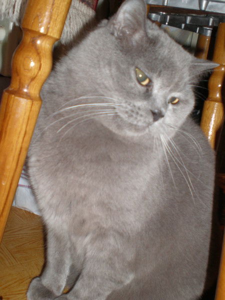 Руслан *******