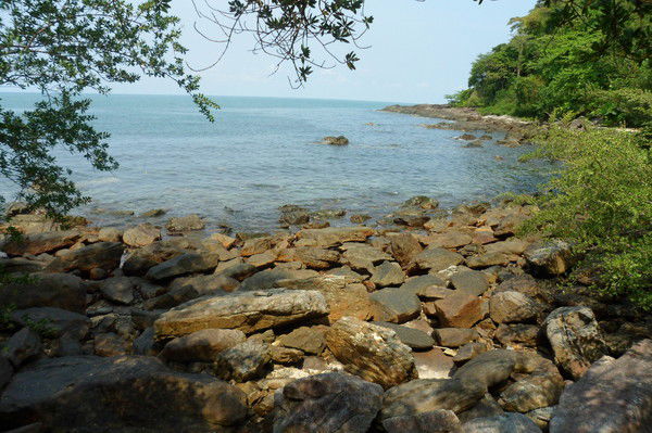 Надежда Ник