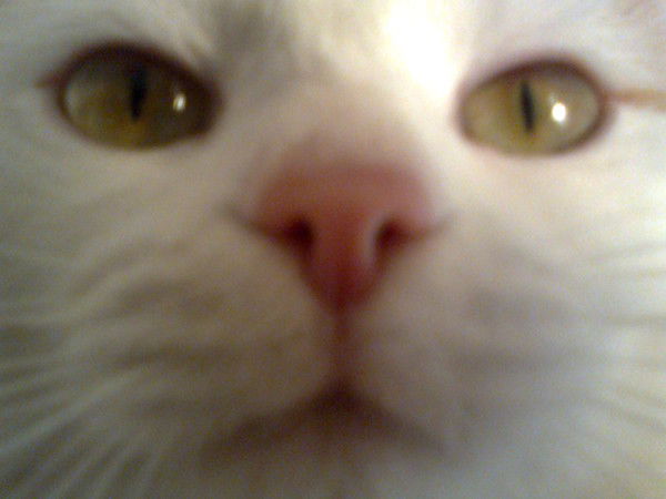 Замечательная Женечка