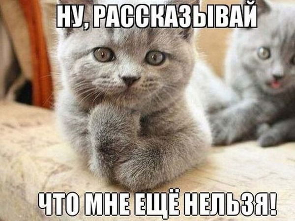 Сергей Паршиков