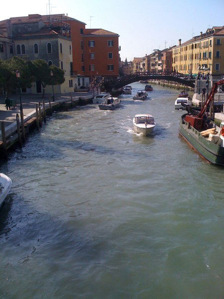 Анжелика Гришина