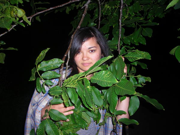 Леночка Лисейкина