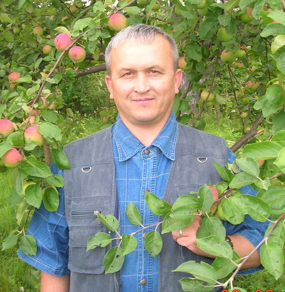 Александр Сергеев