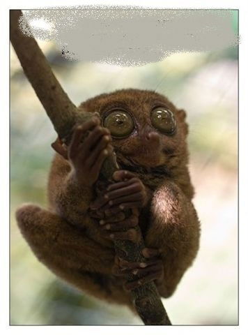 Константин Ставицкий