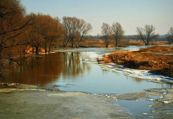 Андрей Михеев
