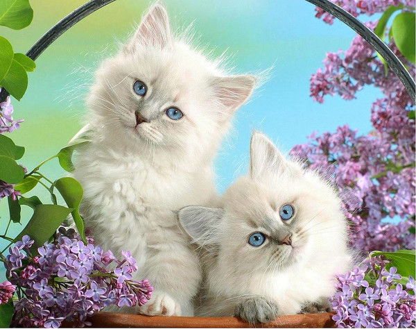 Надежда Трушкина