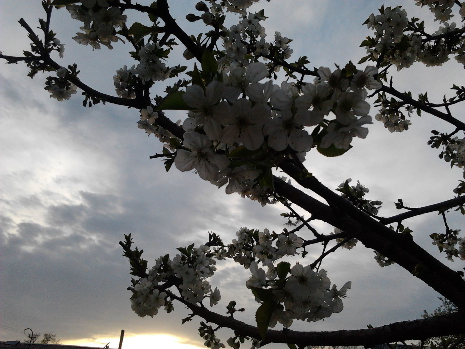 Вика Рябченко