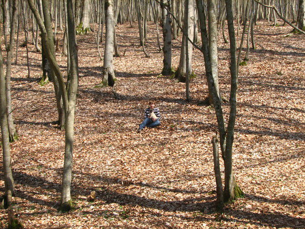 Леонид Беляев