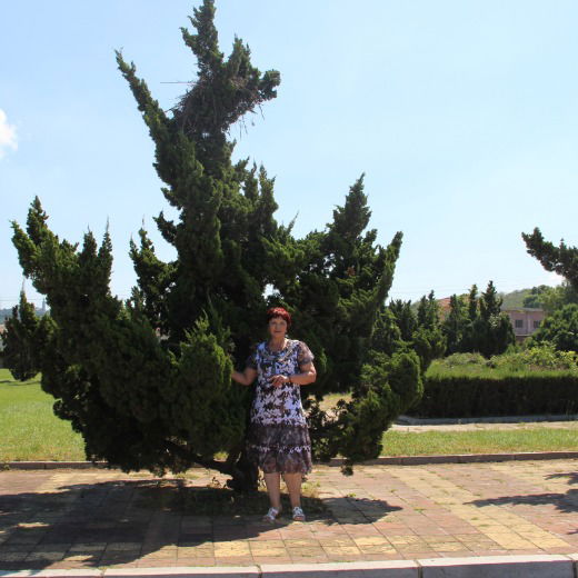 Ананьева Ольга