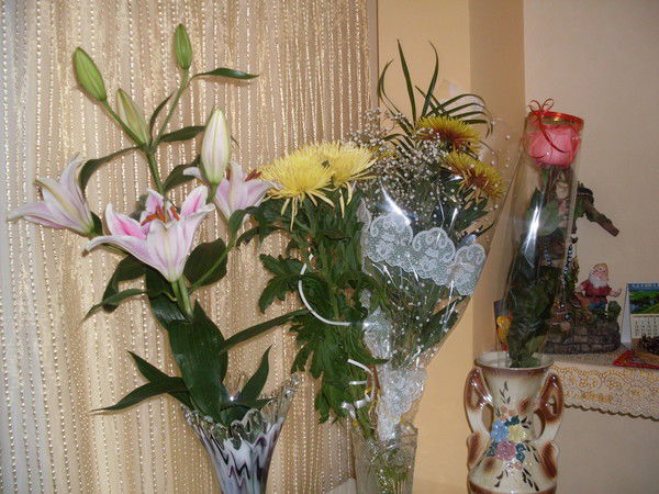 Жибек Байкина