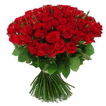 Гульжамал Шаухина