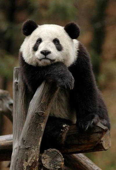 Ищанова Галия